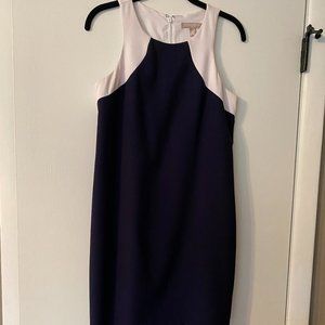 Navy & White Banana Republic Dress